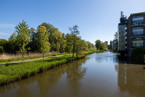 Medium property photo - Van der Waalsstraat 26, 3132 TM Vlaardingen